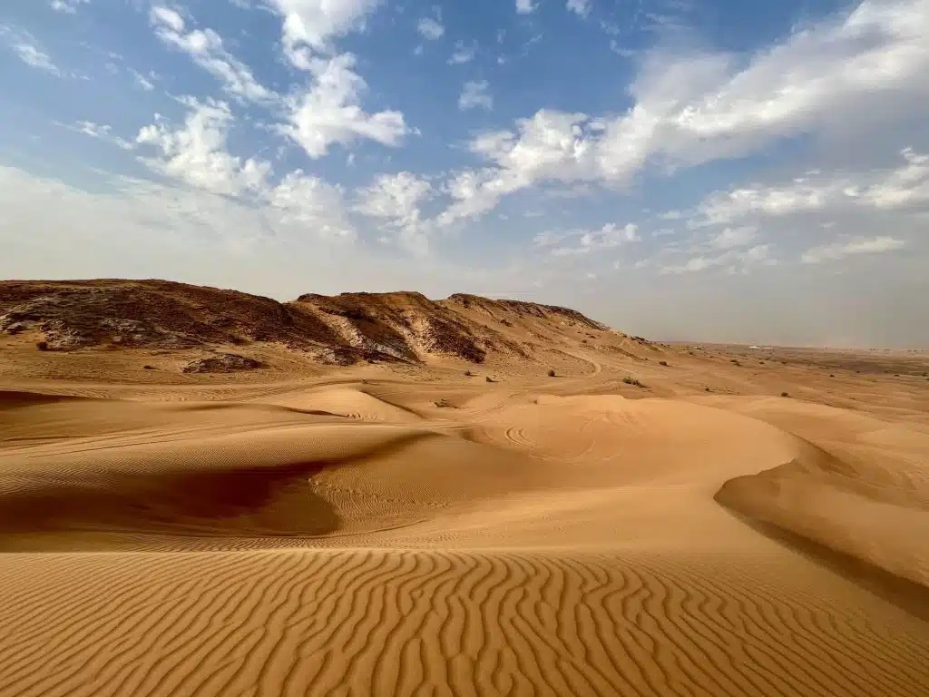 Safari en las dunas del desierto de Dubái