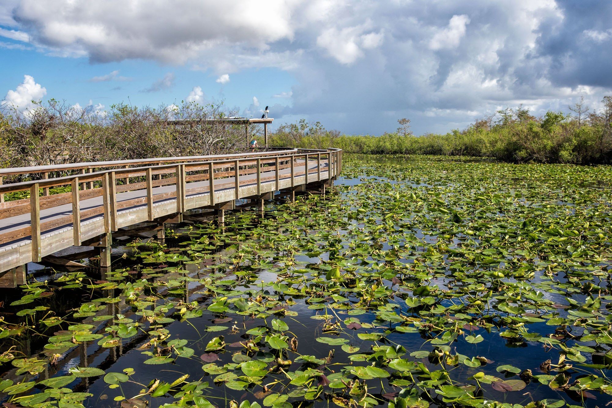 Airboat en los Everglades de Florida