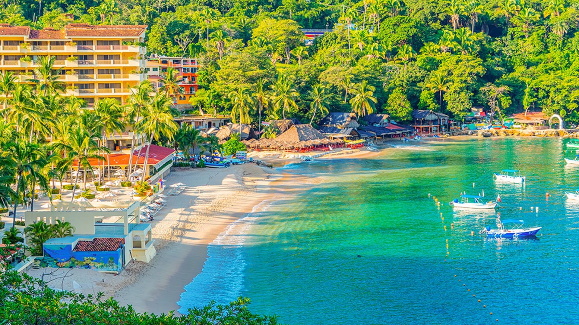 Jungla y playa de Puerto Vallarta